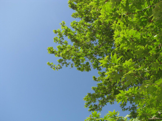 36695 (a): :1600x1200